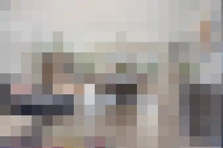 Lavendelheide 10 Grubbenvorst thumbnail 8