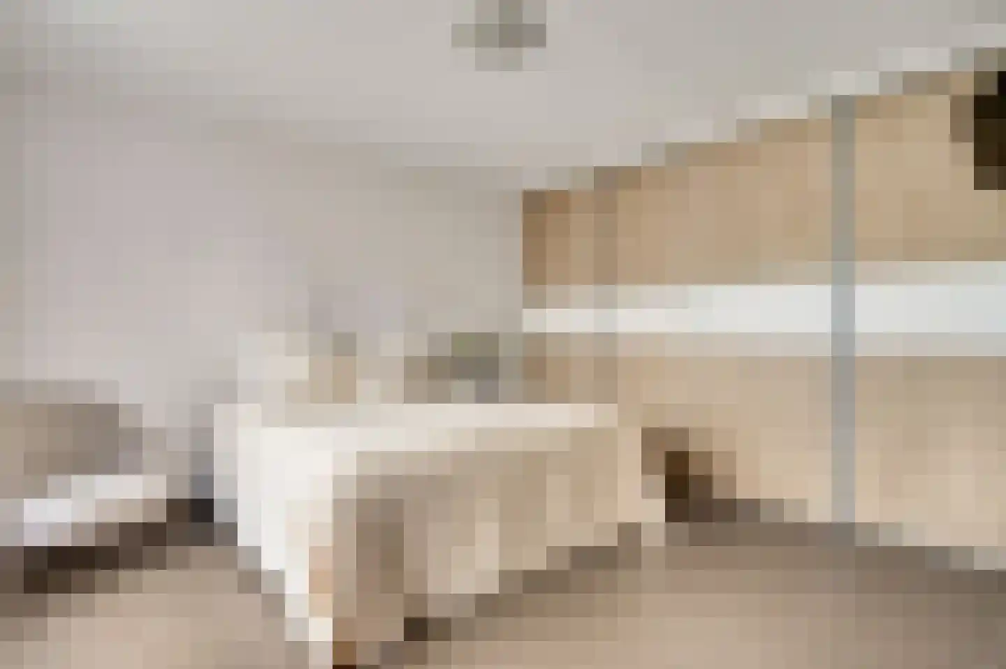 Lavendelheide 10 Reuver thumbnail 13