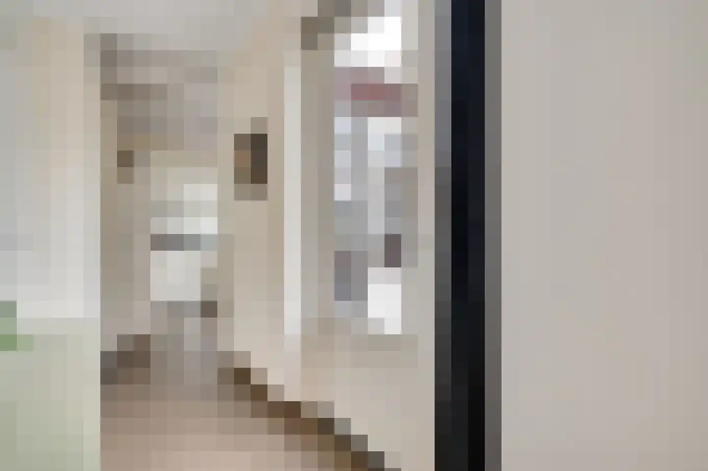 Lavendelheide 10 Reuver thumbnail 17