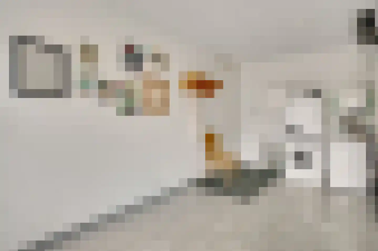 Lavendelheide 10 Reuver thumbnail 19