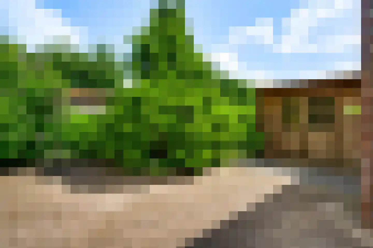 Lavendelheide 10 Reuver thumbnail 33