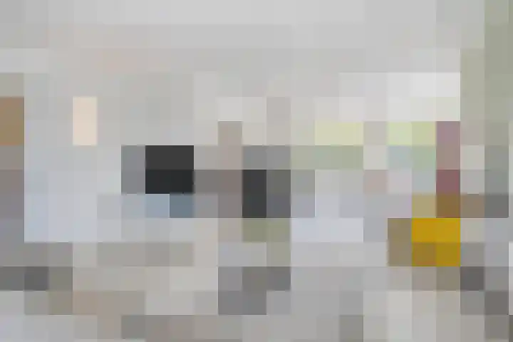 Lavendelheide 10 Venray thumbnail 12