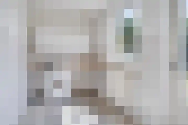 Lavendelheide 10 Venray thumbnail 23