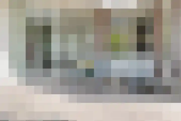 Lavendelheide 10 Venray thumbnail 43