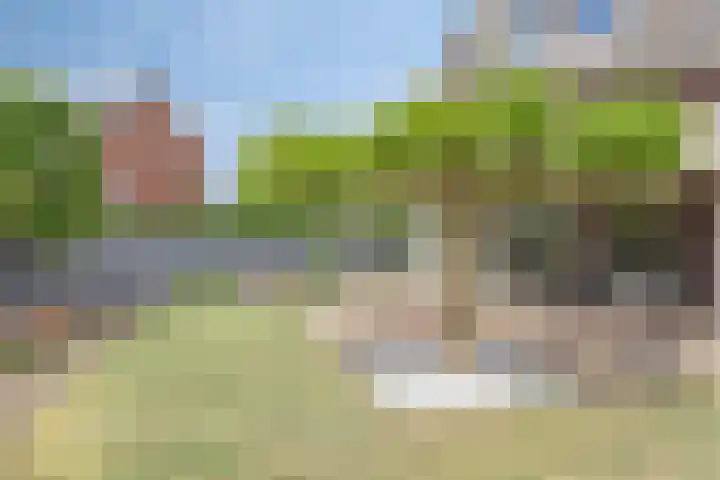 Lavendelheide 10 Venray thumbnail 44