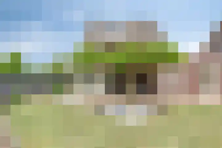 Lavendelheide 10 Venray thumbnail 45