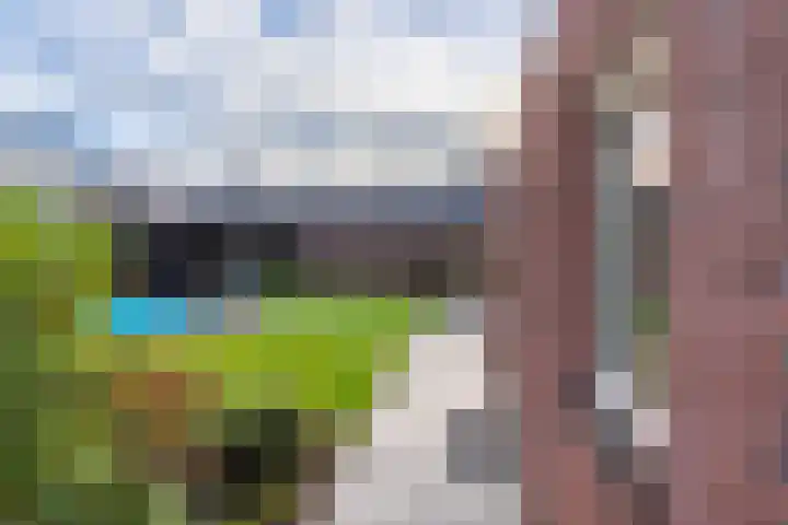 Lavendelheide 11 Venray thumbnail 14