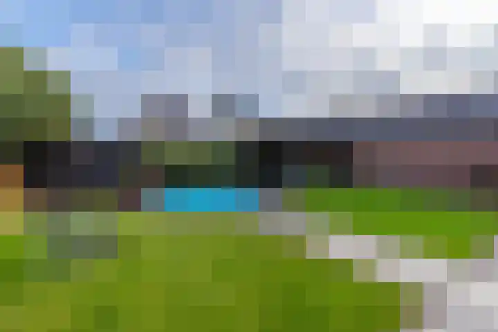 Lavendelheide 11 Venray thumbnail 16