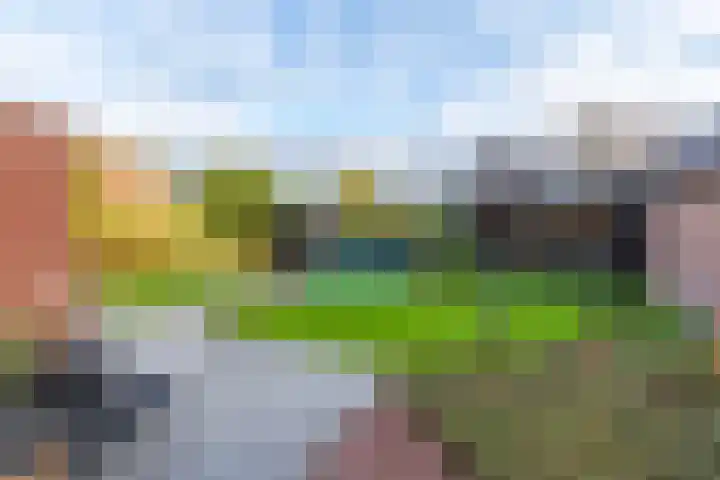 Lavendelheide 11 Venray thumbnail 17