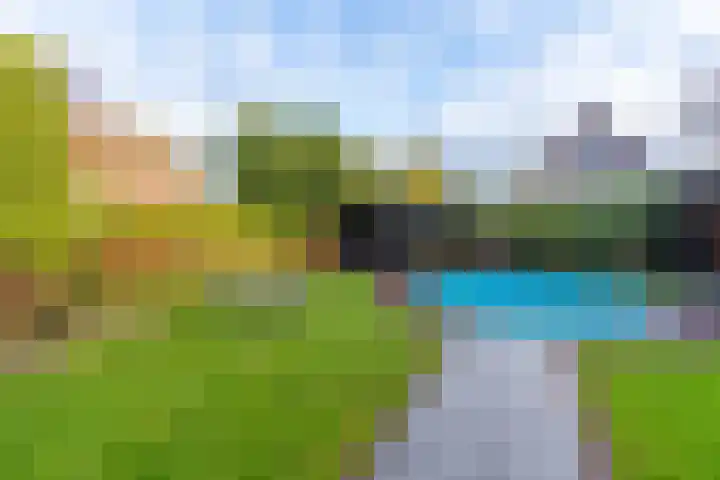 Lavendelheide 11 Venray thumbnail 18