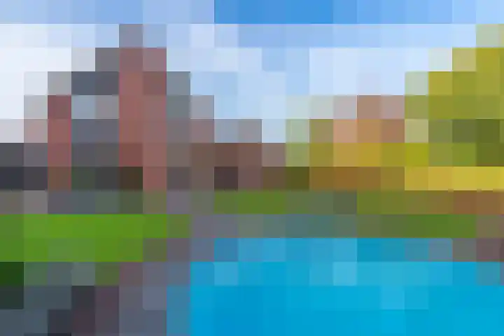 Lavendelheide 11 Venray thumbnail 24