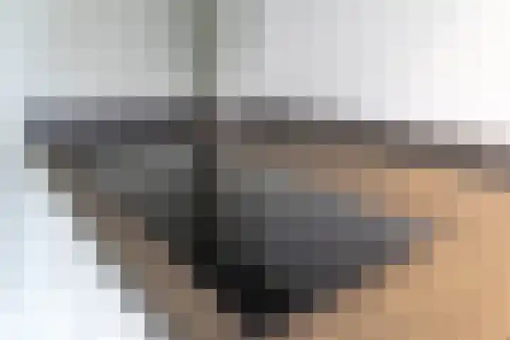 Lavendelheide 11 Venray thumbnail 34