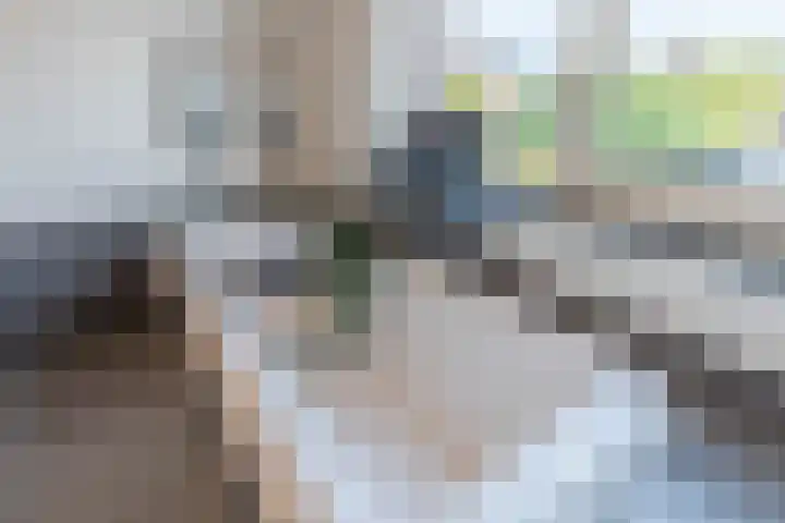 Lavendelheide 11 Venray thumbnail 64