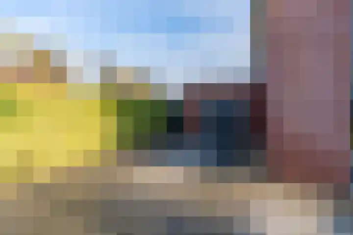 Lavendelheide 11 Venray thumbnail 7