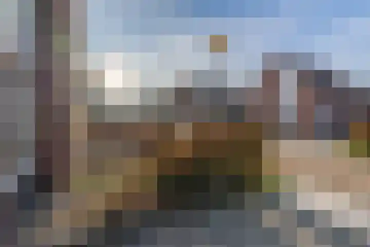 Lavendelheide 11 Venray thumbnail 8