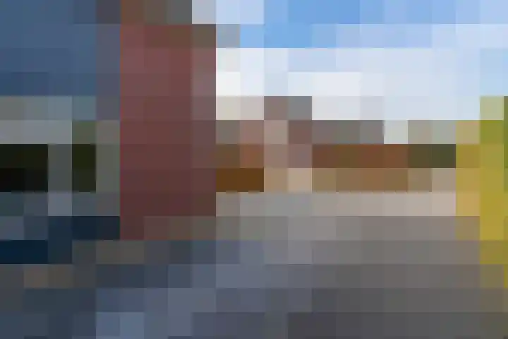 Lavendelheide 11 Venray thumbnail 9