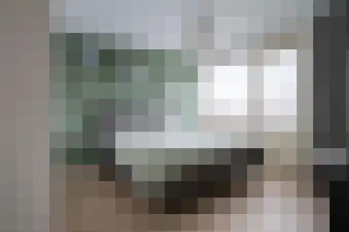 Lavendelheide 13 Emmen thumbnail 15