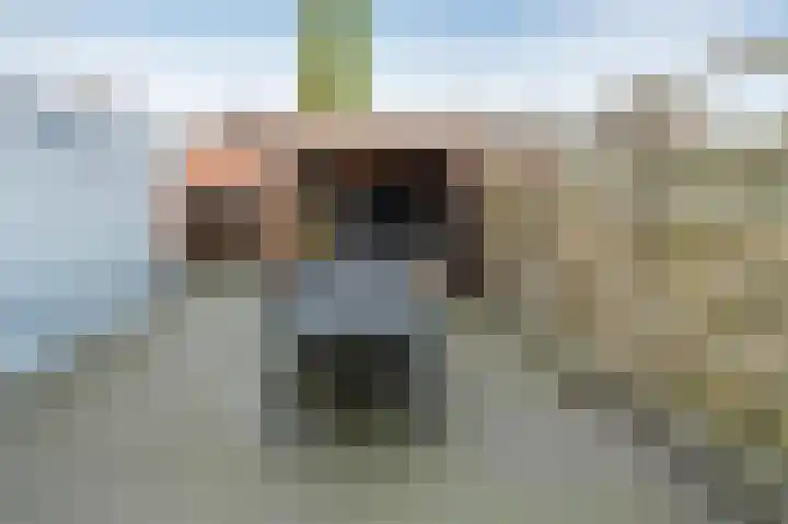 Lavendelheide 13 Emmen thumbnail 21