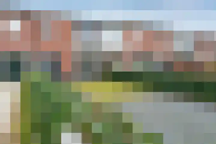 Lavendelheide 13 Emmen thumbnail 26