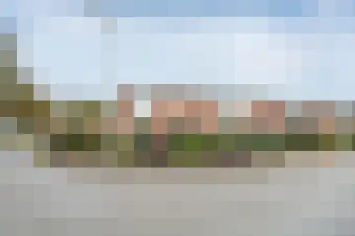 Lavendelheide 13 Emmen thumbnail 29