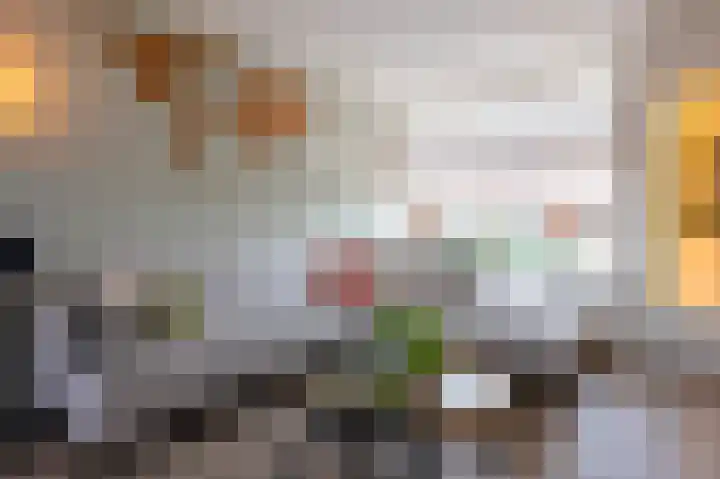 Lavendelheide 13 Emmen thumbnail 6