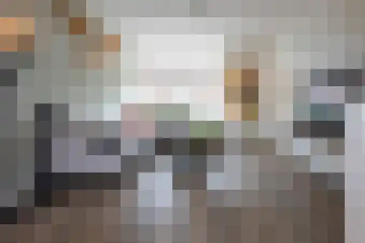 Lavendelheide 13 Emmen thumbnail 7