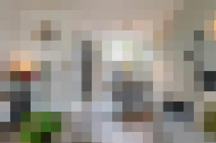 Lavendelheide 13 Emmen thumbnail 8