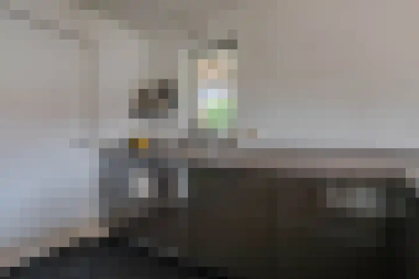 Lavendelheide 13 Venray thumbnail 18