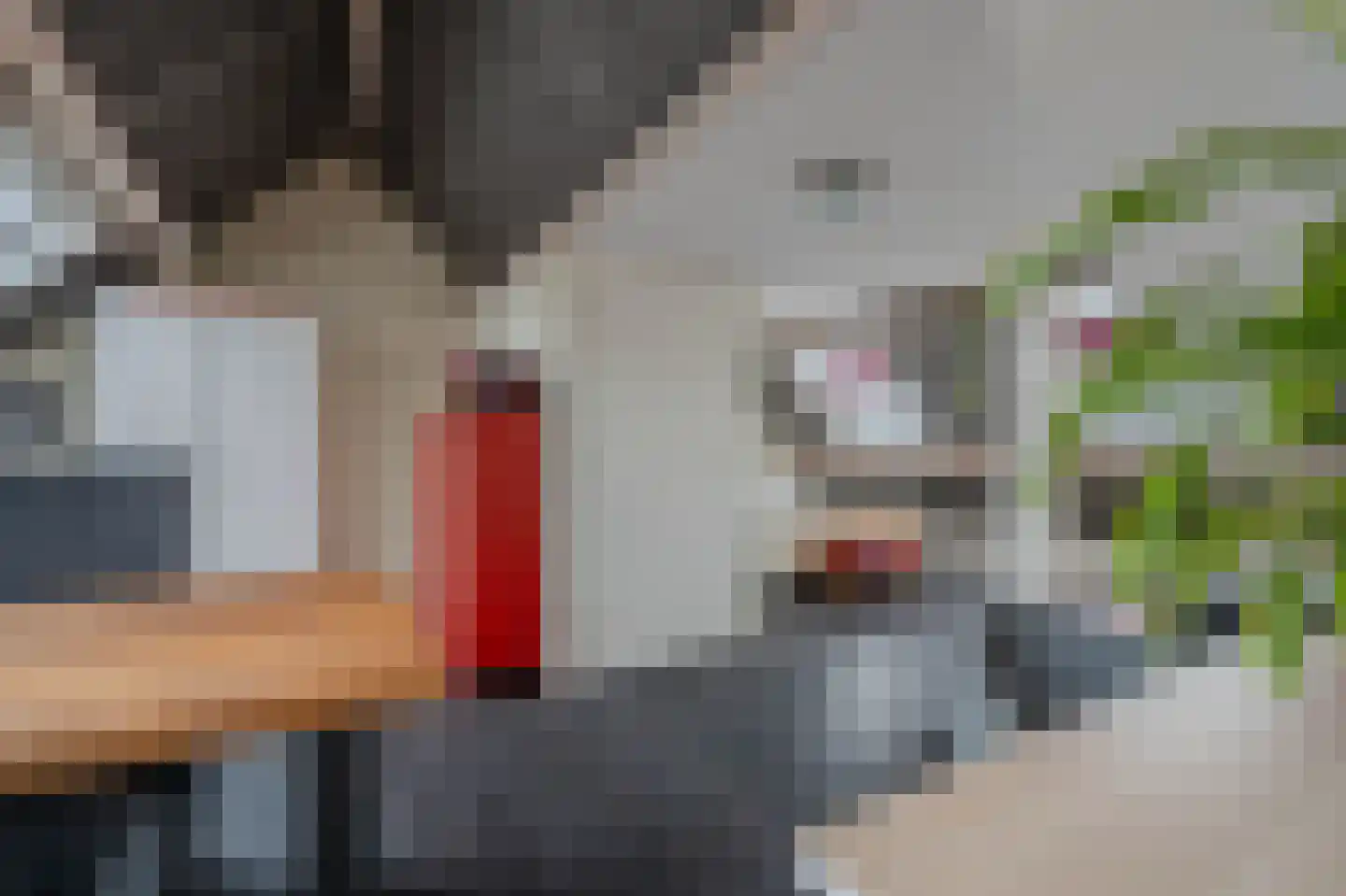 Lavendelheide 13 Venray thumbnail 35