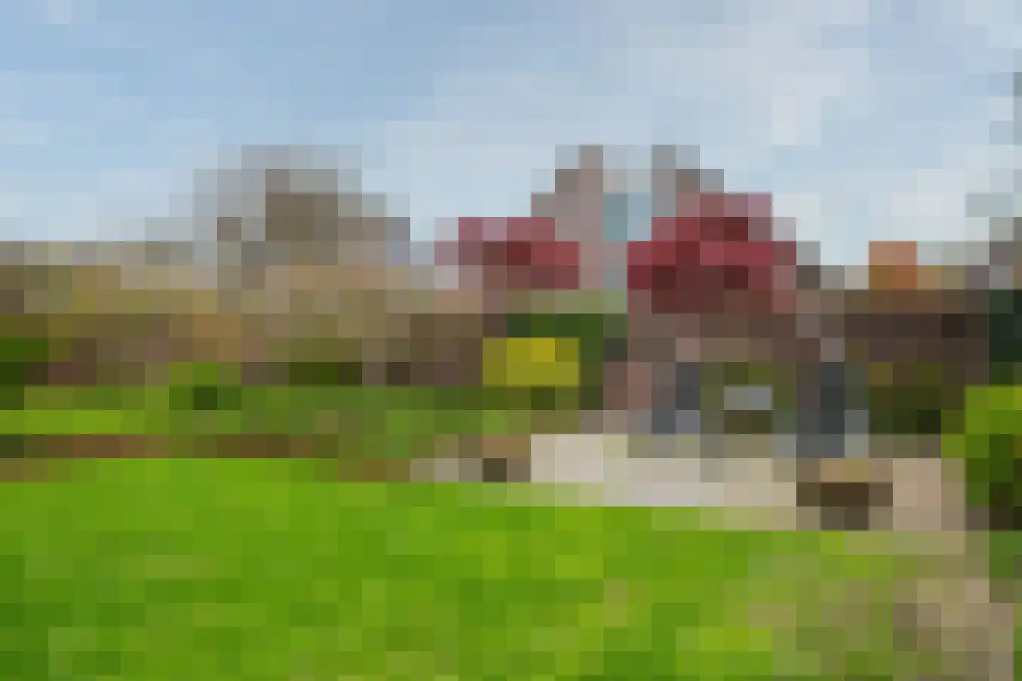 Lavendelheide 13 Venray thumbnail 50