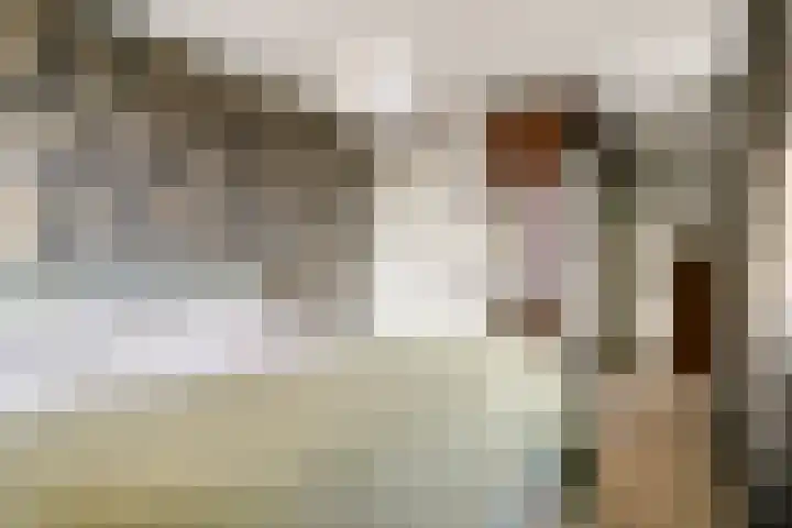 Lavendelheide 25 Venray thumbnail 28