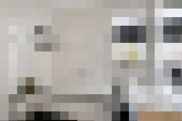 Lavendelheide 25 Venray thumbnail 33