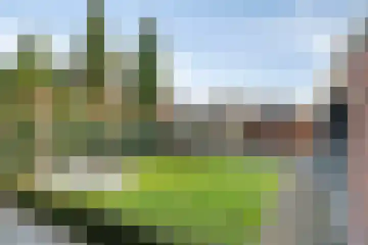 Lavendelheide 25 Venray thumbnail 44