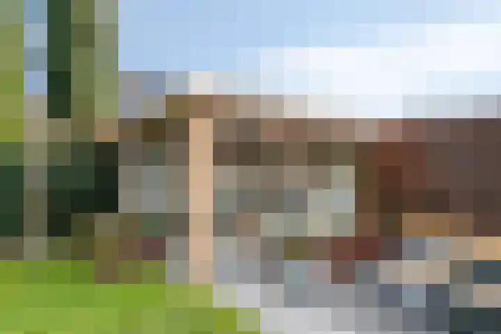 Lavendelheide 25 Venray thumbnail 50