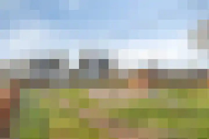 Lavendelheide 25 Venray thumbnail 54