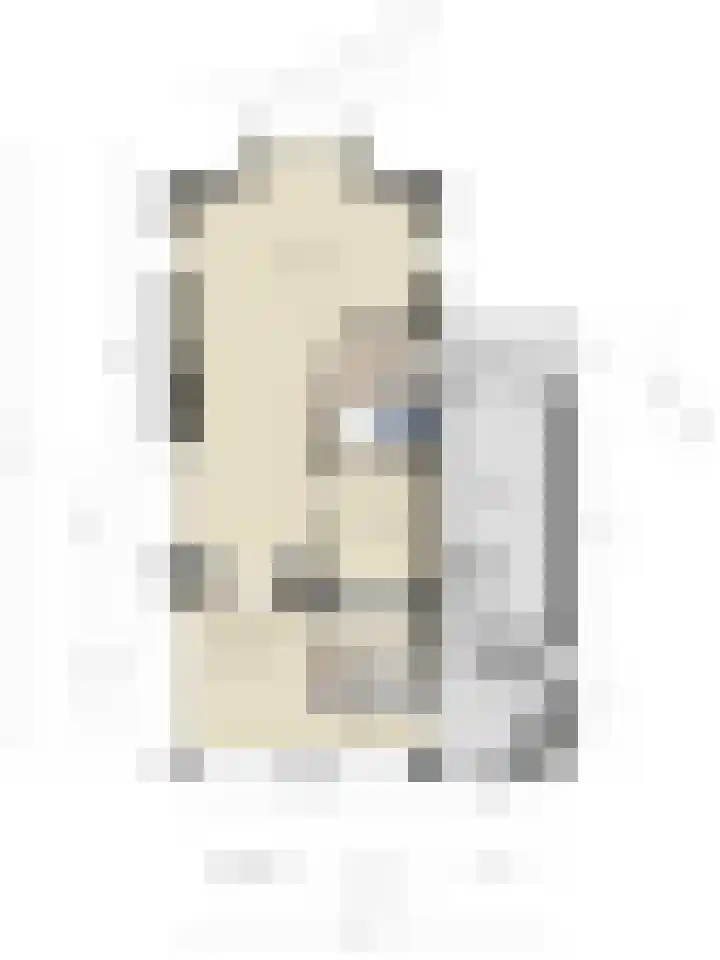 Lavendelheide 25 Venray thumbnail 57