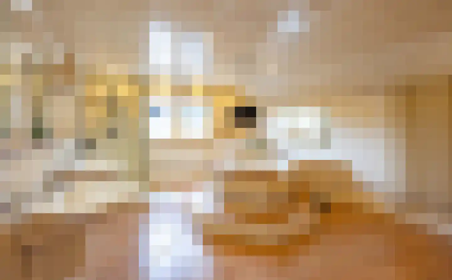 Lavendelheide 6 Venray thumbnail 39