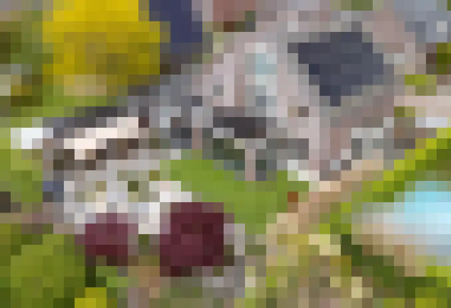 Lavendelheide 6 Venray thumbnail 48