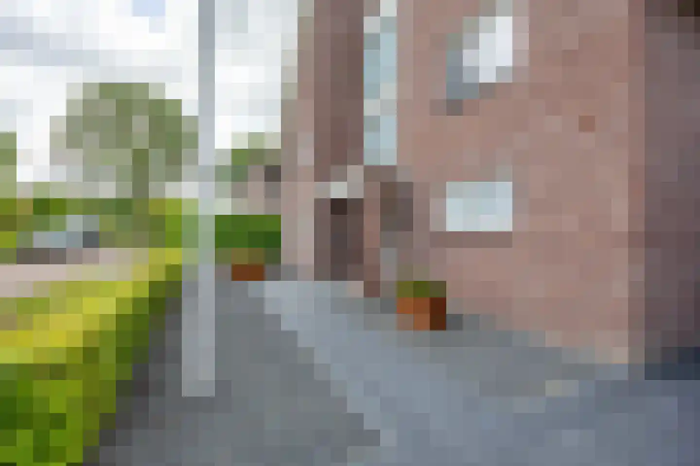 Lavendelheide 6 Venray thumbnail 5