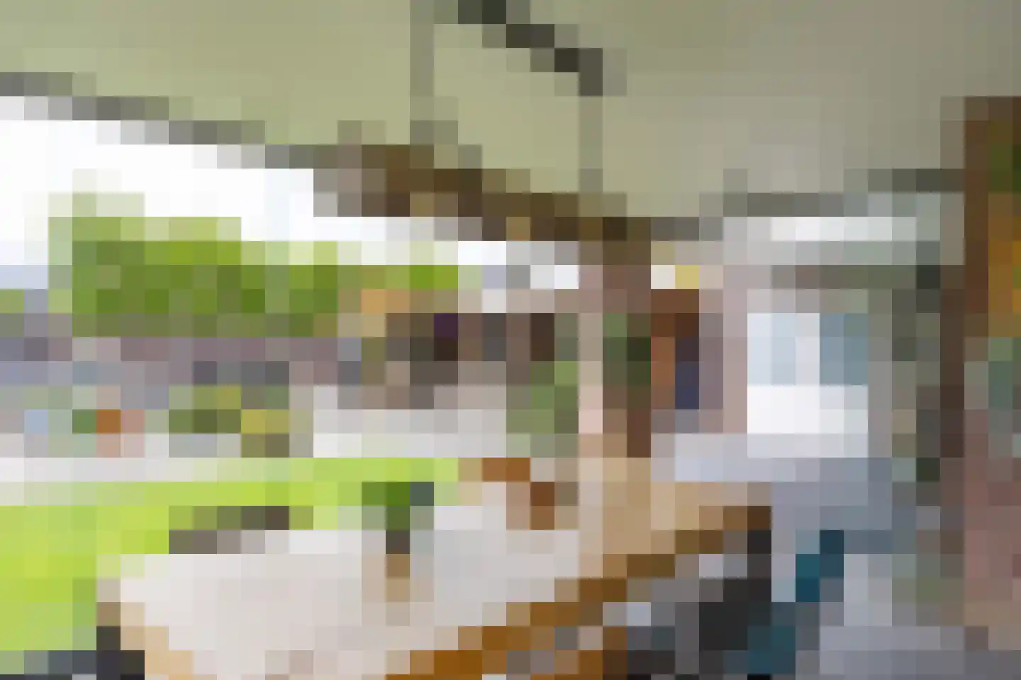 Lavendelheide 6 Venray thumbnail 53