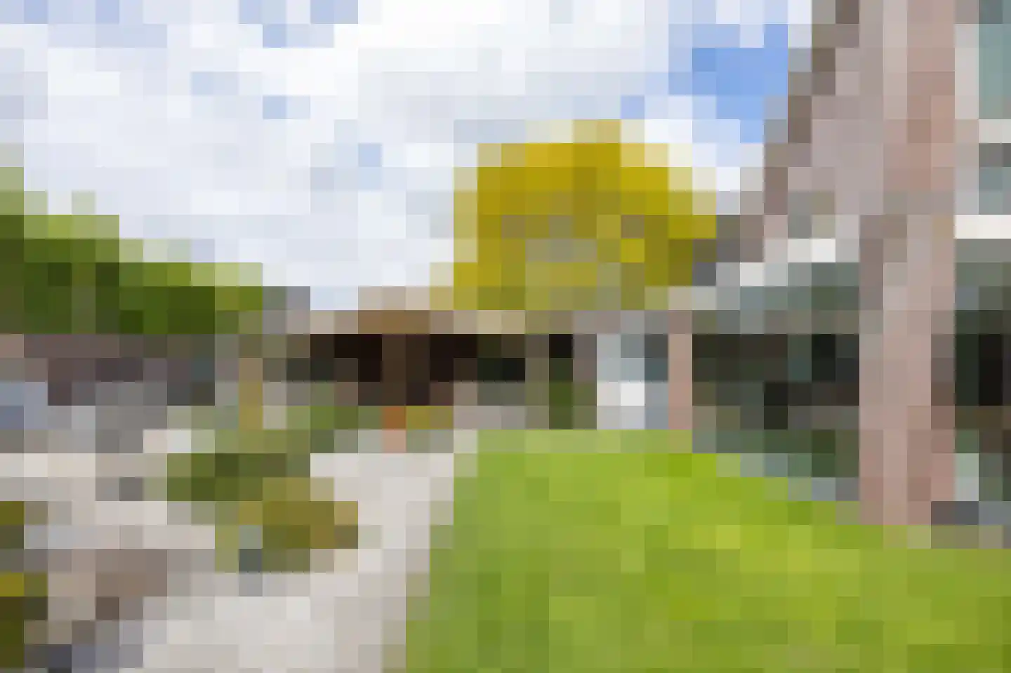 Lavendelheide 6 Venray thumbnail 59