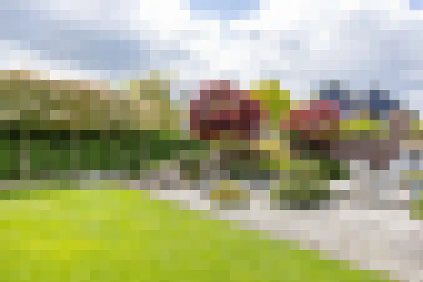 Lavendelheide 6 Venray thumbnail 60