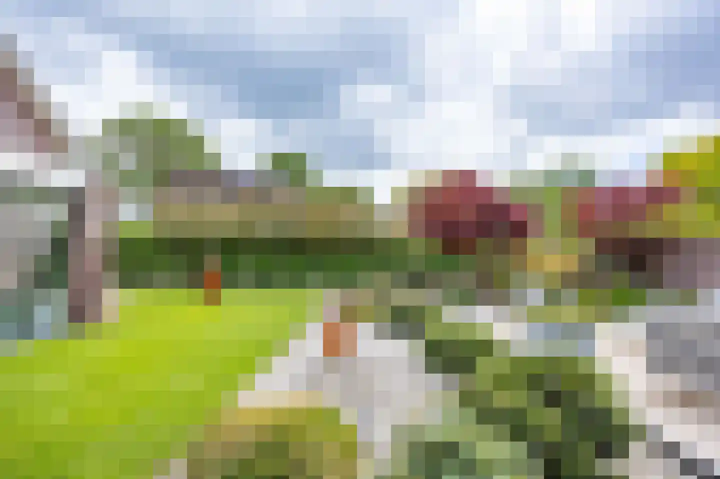 Lavendelheide 6 Venray thumbnail 61