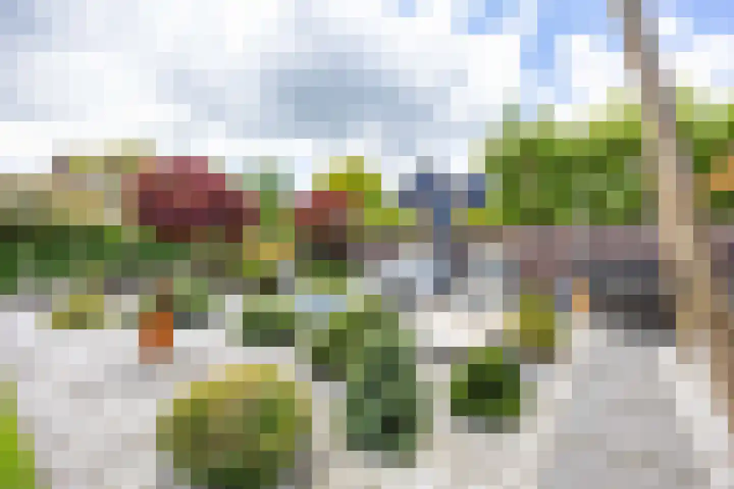 Lavendelheide 6 Venray thumbnail 62