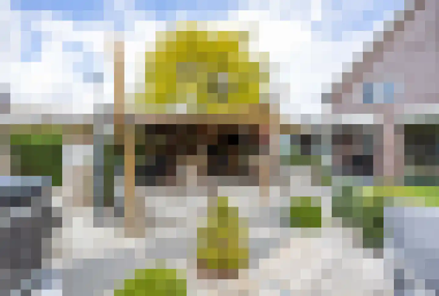 Lavendelheide 6 Venray thumbnail 64