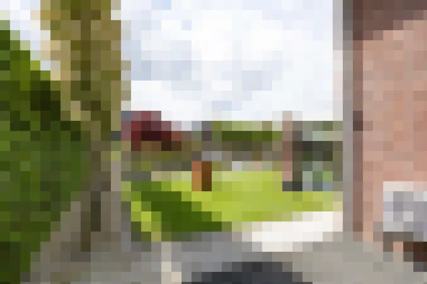 Lavendelheide 6 Venray thumbnail 72