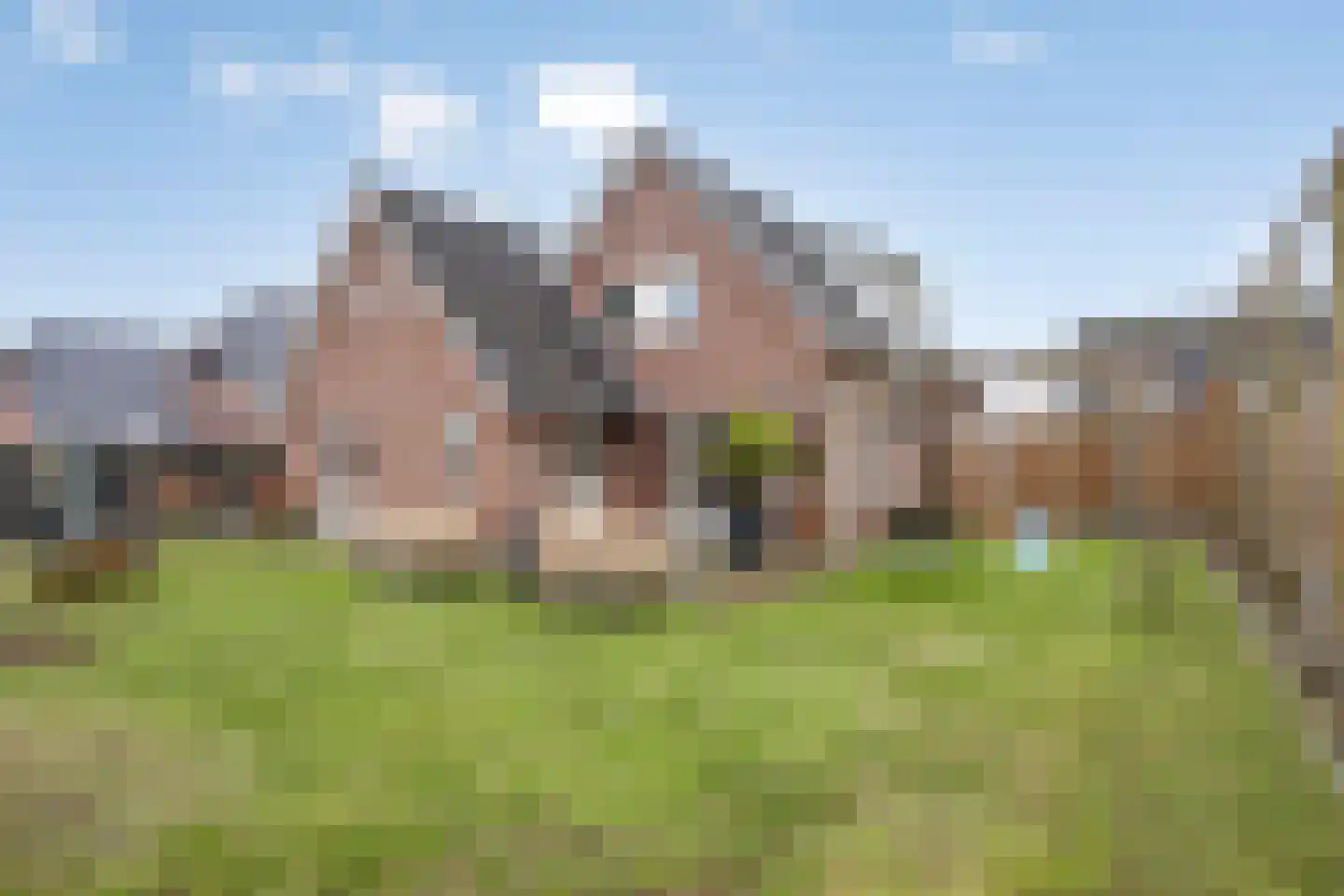 Lavendelheide 7 Weiteveen thumbnail 20