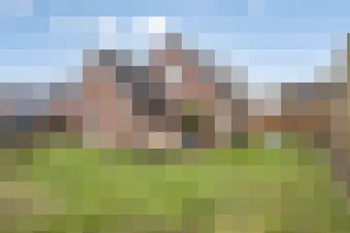 Lavendelheide 7 Weiteveen thumbnail 20