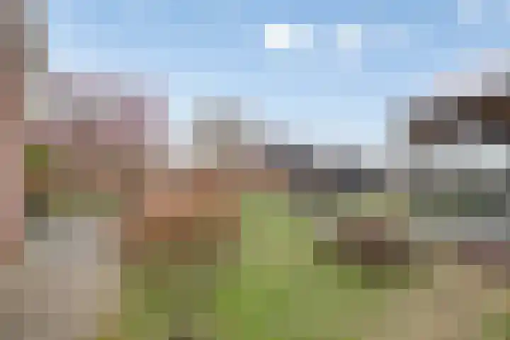 Lavendelheide 7 Weiteveen thumbnail 21