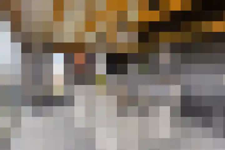 Lavendelheide 7 Weiteveen thumbnail 23